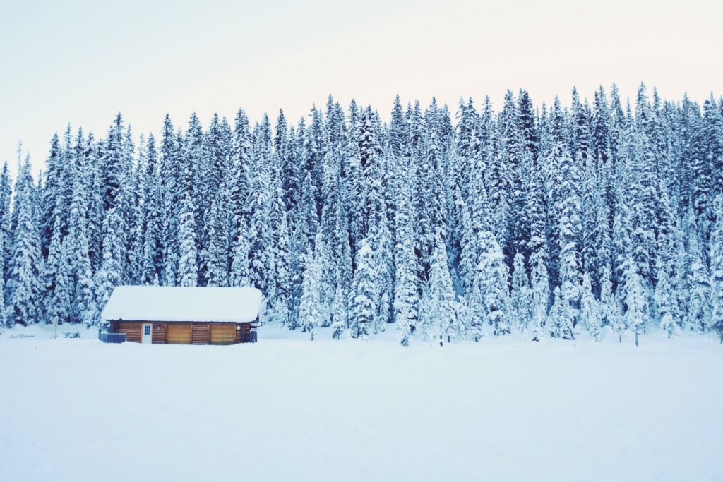 Snowed In? Review Your Estate Plan