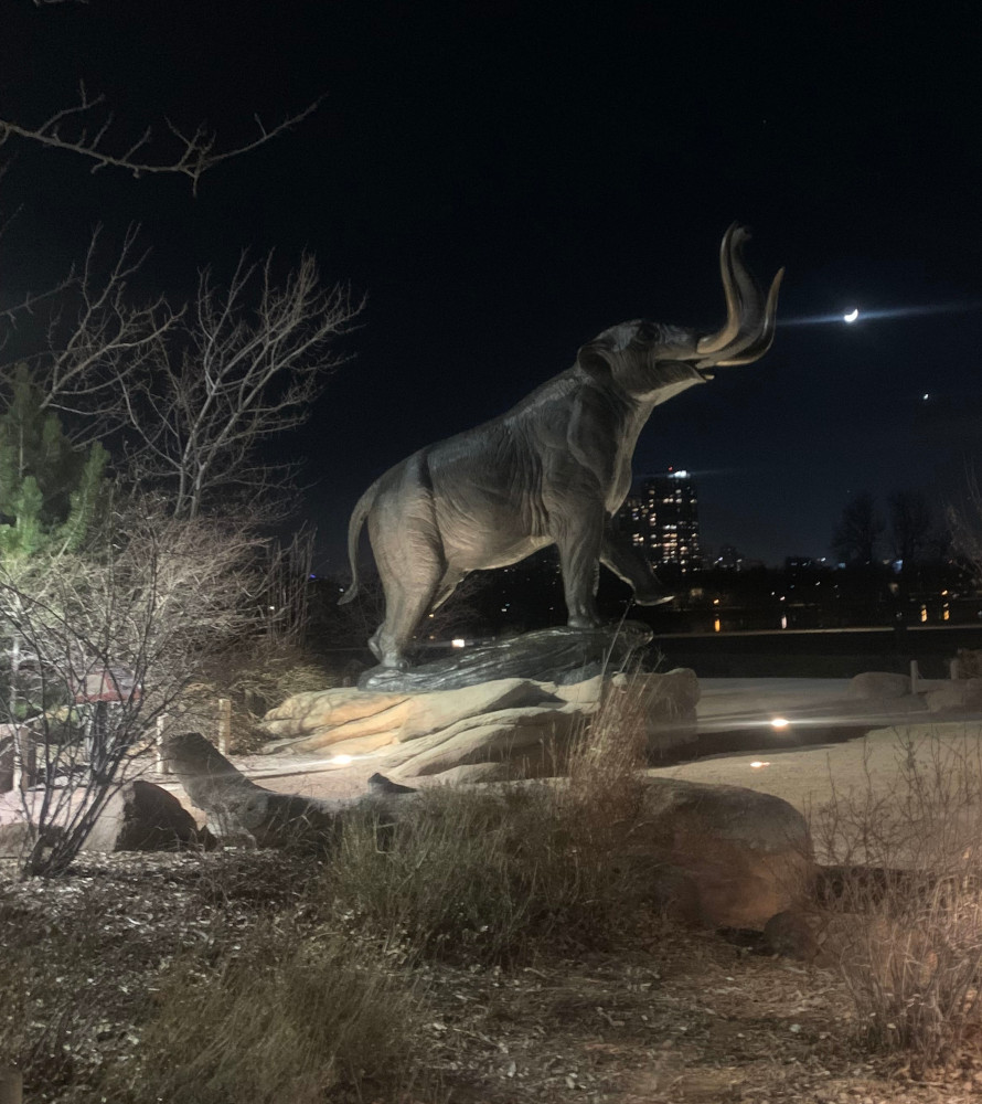 The Denver Museum of Nature & Science is a nonprofits institution.